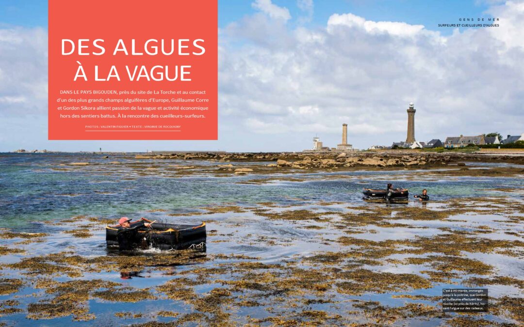 Surfeurs-cueilleurs en pays bigouden