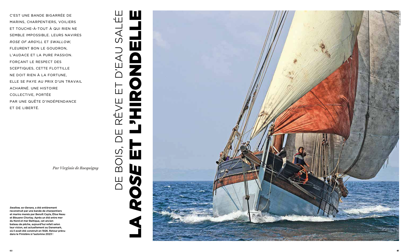 Illustration de l'article pdf La rose et l'hirondelle