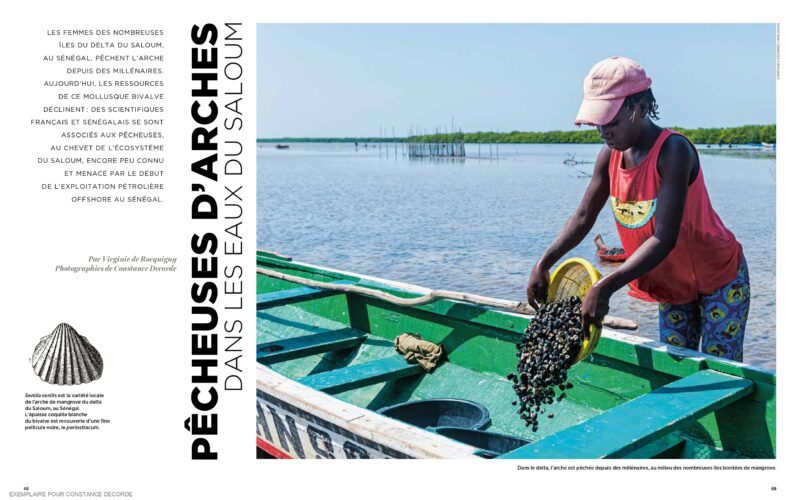 Pêcheuses d’arches au Sénégal
