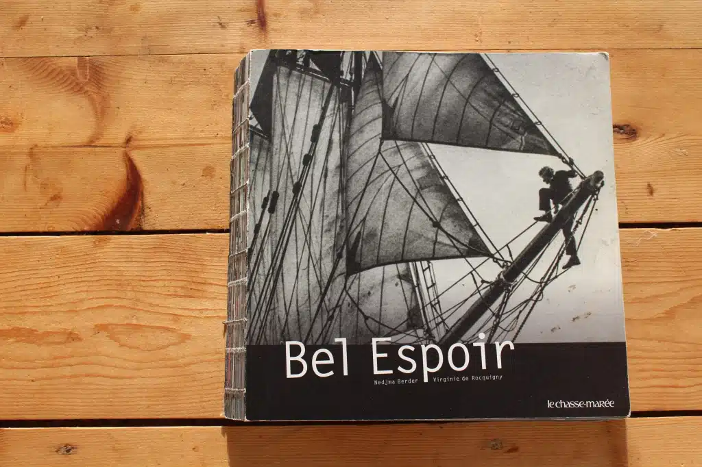 Les tribulations du palmier solitaire - revue XXI