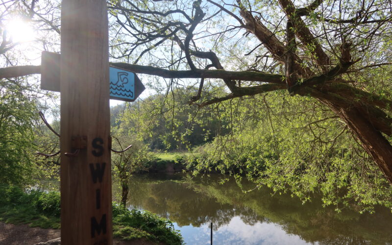 Les nageuses, gardiennes de la rivière Avon – RTS