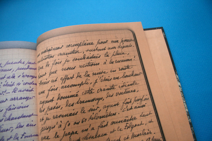 Les tribulations du palmier solitaire - revue XXI