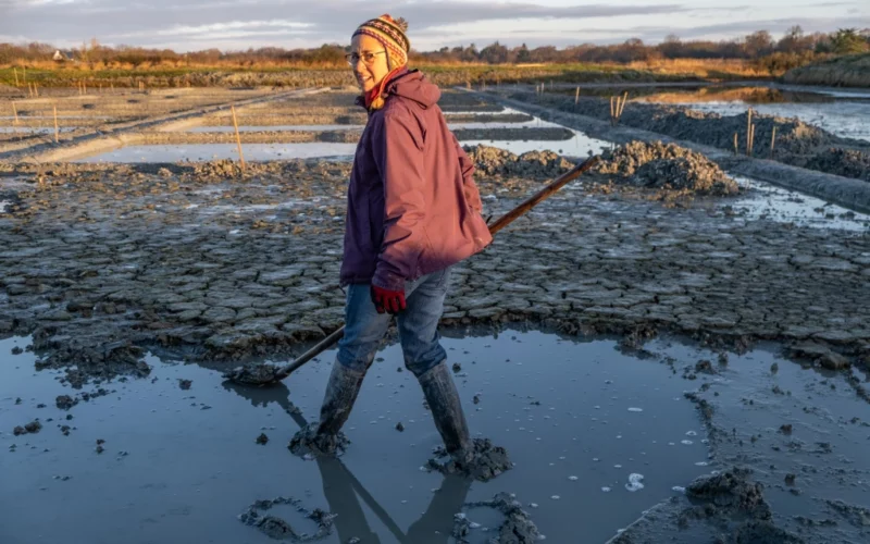 Les femmes des marais