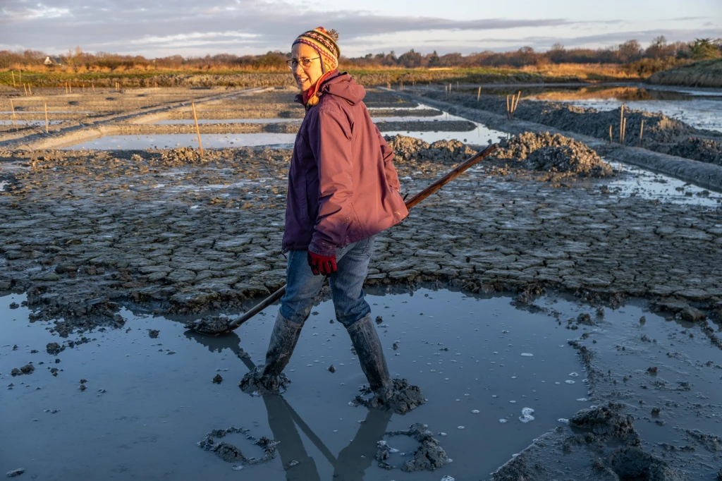 Illustration Swallow - La Rose et l'hirondelle, crédit photo Nedjma Berder