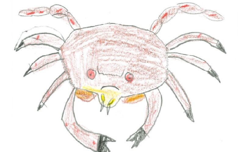 Etrange estran, fictions radio avec des scolaires