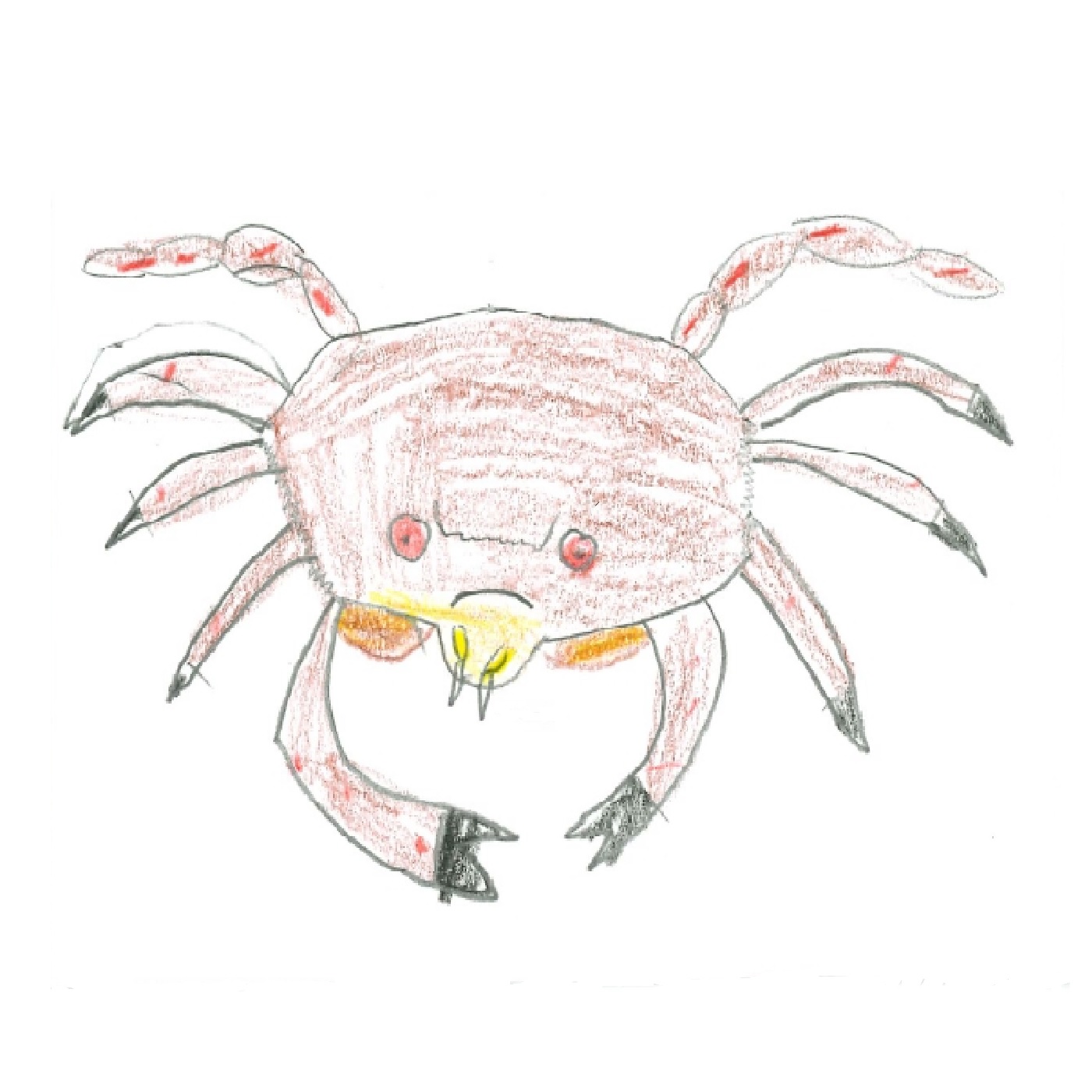 Illustration Swallow - La Rose et l'hirondelle, crédit photo Nedjma Berder